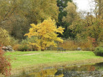 Arboretum Poortbulten